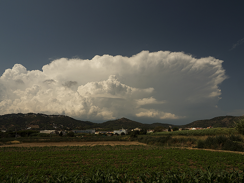 Atlas: Cumulonimbus capillatus y cumulus congestus
Tras unos días de calor intenso nos llega algo de inestabilidad que ha disparado las formaciones tormentosas. Esta zona del Maresme se ve afectada de lleno muy raramente, y casi siempre la escena es la que se muestra en la imagen: contemplar en la lejanía las nubes, viéndolas pasar en dirección a la Costa Brava como en este caso o disolviéndose al chocar con la cordillera litoral. 
