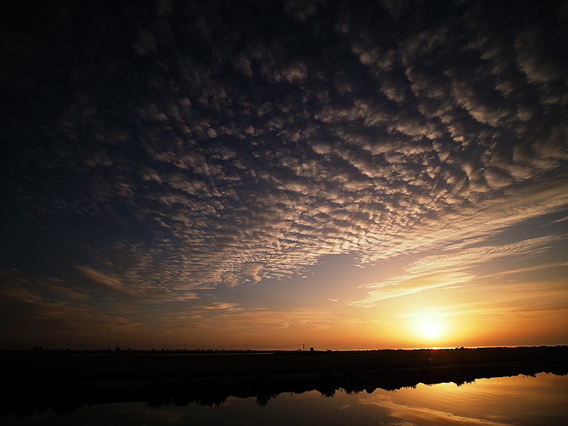 Un pequeño banco de altocúmulos pasando que coincidió para amenizar el amanecer, quedando después el cielo sereno aunque brumoso. Se observan además, dos pequeños cavum o skypunch hacia el centro de la imagen. 
