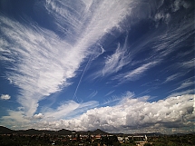 P5100149.jpg