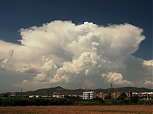 P6291512.jpg