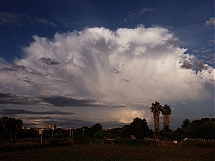 Cumulonimbus capillatus
