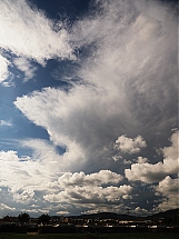 Nombre del archivo=PA141345.jpg
Tamaño del archivo=436Kb
Dimensiones=600x800
Fecha añadida=Octubre 14, 2025 PA141345.jpg