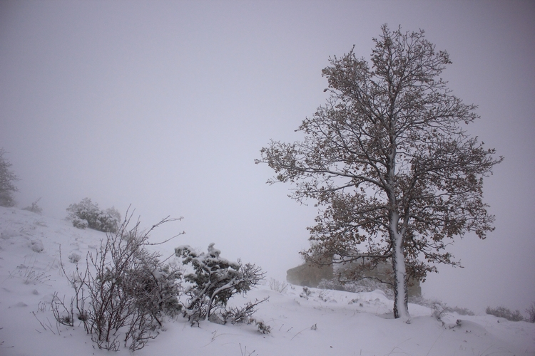 Subiendo a la nieve
Álbumes del atlas: ZCNOV13 paisaje_nevado