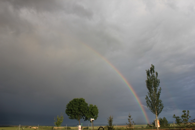 arcoiris en la tormenta
Álbumes del atlas: arco_iris_primario