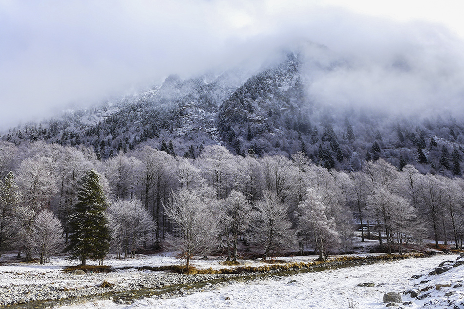 Invierno en Val d'Aran
Estampa invernal de la ladera sur del túnel de Vielha, en la Val d'Aran. 
