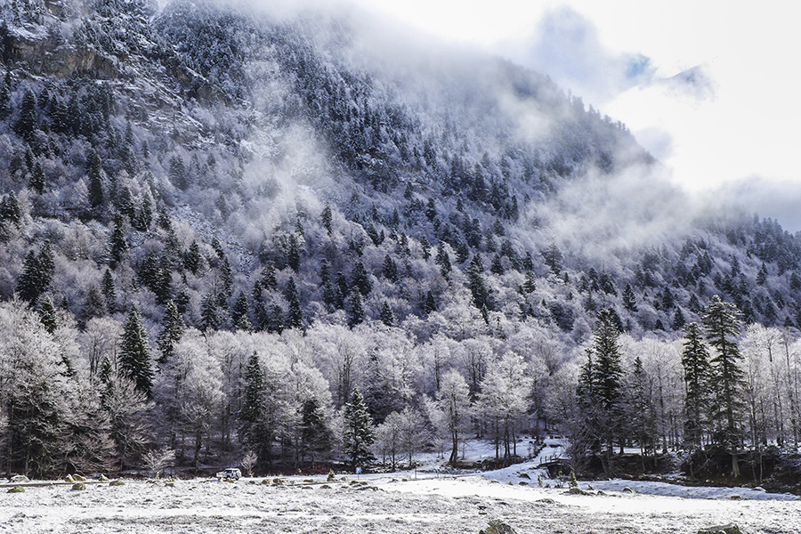 Invierno en Val d'Aran
Estampa invernal de la ladera sur del túnel de Vielha, en la Val d'Aran.
