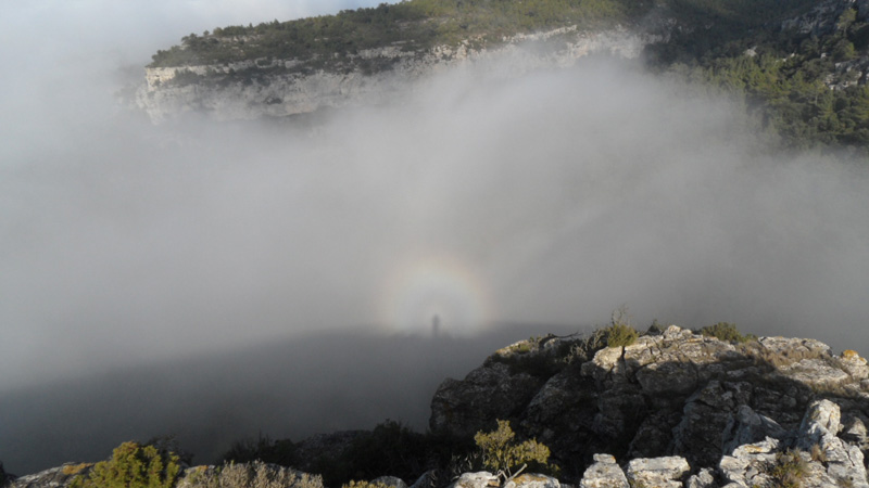 Espectro de Brocken
Me sorprendió ver una silueta con anillos aparecida entre la niebla. Estaba en un acantilado y tenía el sol por detrás.
