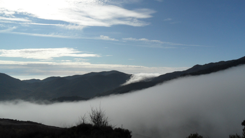 Cascada de niebla
"Cascada de niebla" en las montañas
Álbumes del atlas: muro_de_foehn