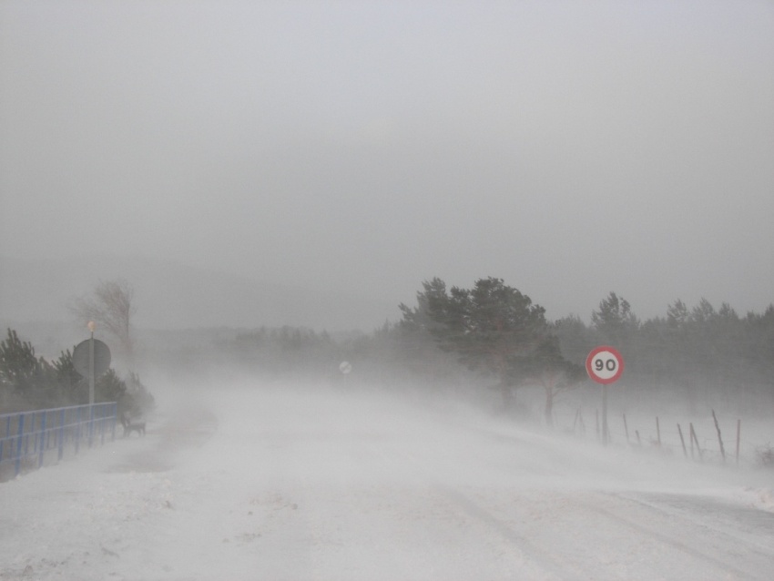 Ventisca en Duruelo
Mañana infernal en Duruelo de la Sierra, a unos 1.185 m, con una gélida advección del NE que provocó vientos cercanos a los 100 km/h, con -7.5 º C. Está tomada en la carretera de acceso al pueblo, el 4 de febrero de 2012, y la sensación térmica era de unos -20 º C
