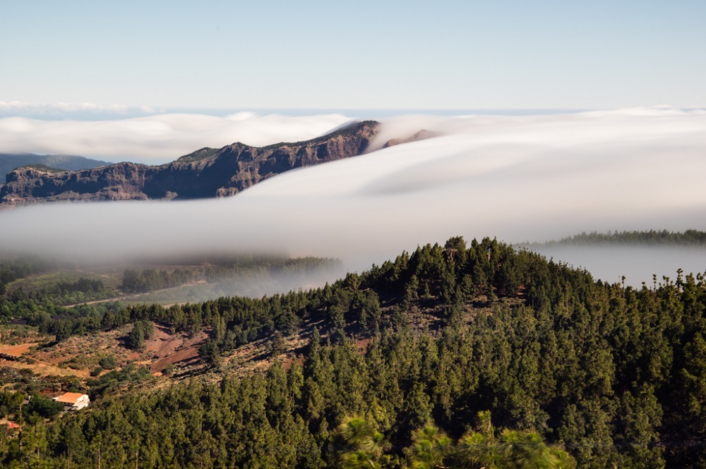 Caricias de los Alisios
Cascadas de un mar de nubes sobre la cumbre de la isla de Gran Canaria
