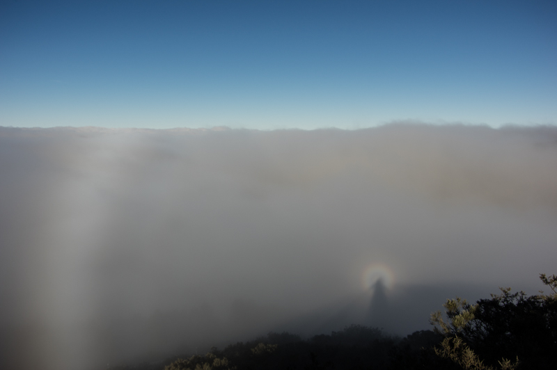 Espectro de Broken y arco de nube
Desde la Cruz de Tejeda en Gran Canaria en lo alto de una montaña pude divisar este fenomeno muy dificil de localizar. Una tarde tranquila sin viento pero con muchisima humedad a la altura de la inversión térmica.
Álbumes del atlas: ZFI15 gloria arco_de_niebla