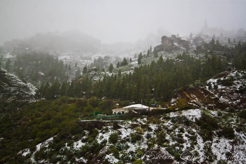 Nieves de febrero 2014 
Importante y histórica nevada acontecido el 12 de Febrero del 2014 en Gran Canaria llegando a nevar sobre los 1300 metros. Hacia 25 años que no se veia algo así.
Álbumes del atlas: paisaje_nevado