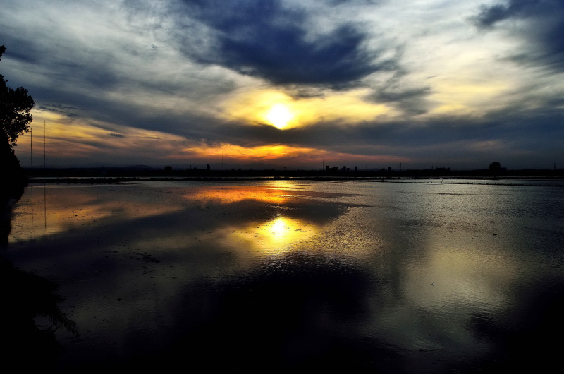 Puesta de sol en La Albufera
Atardecer en los campos de arroz inundados que rodean la albufera de Valencia
