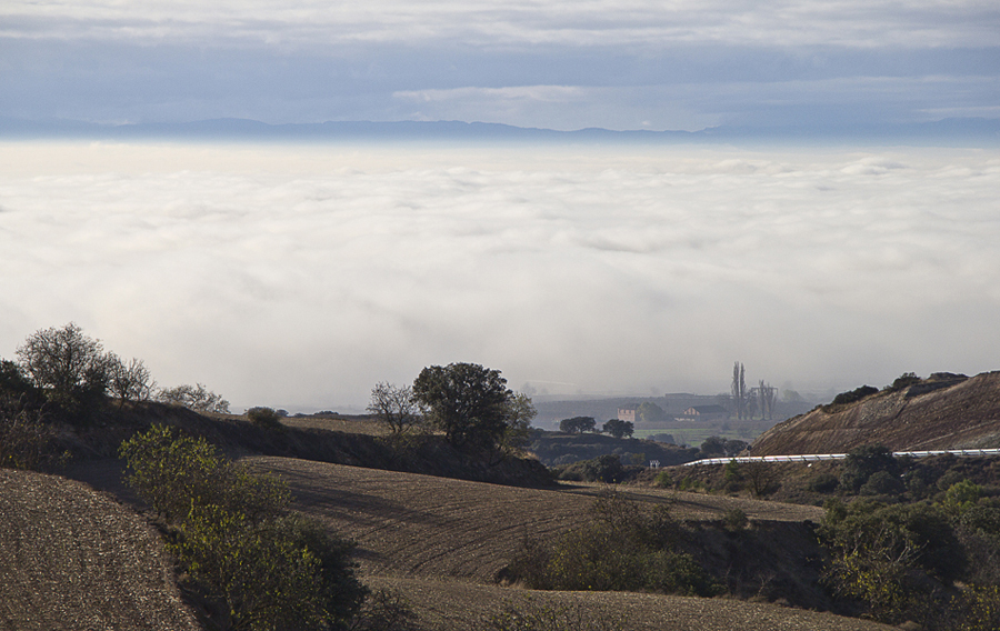 Mar de niebla
Una espesa y persistente niebla cubre toda la plana de Lleida, dejando temperaturas muy bajas y un ambiente húmedo y gris.
Tan solo a pocos km en un punto más elevado luce un sol espléndido.

