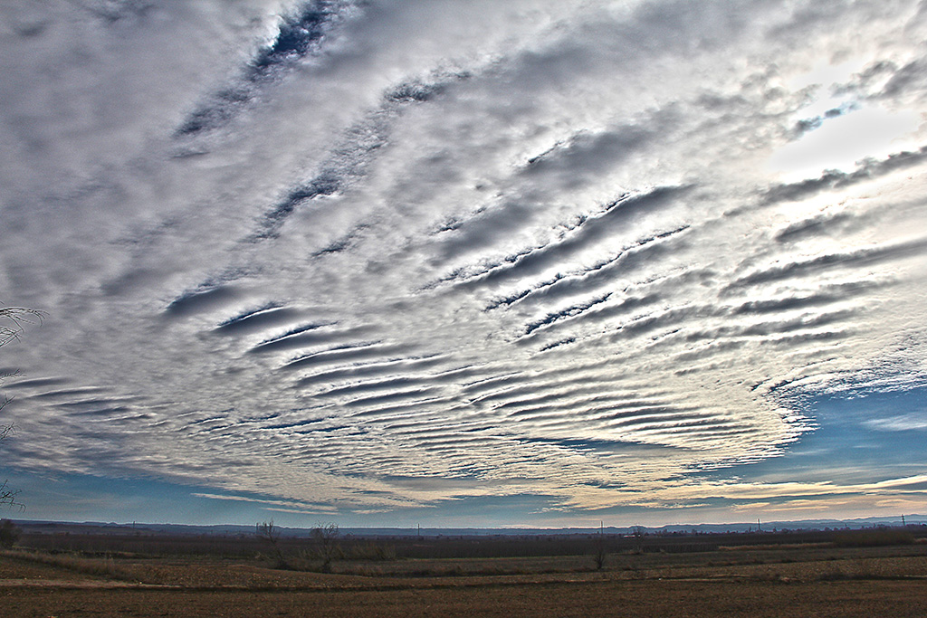 Altocumulus stratiformis undulatus
"Cielo rizado"

Al mediodía el cielo  presentaba este aspecto con bandas de nubes onduladas que lo cubrían casi totalmente
