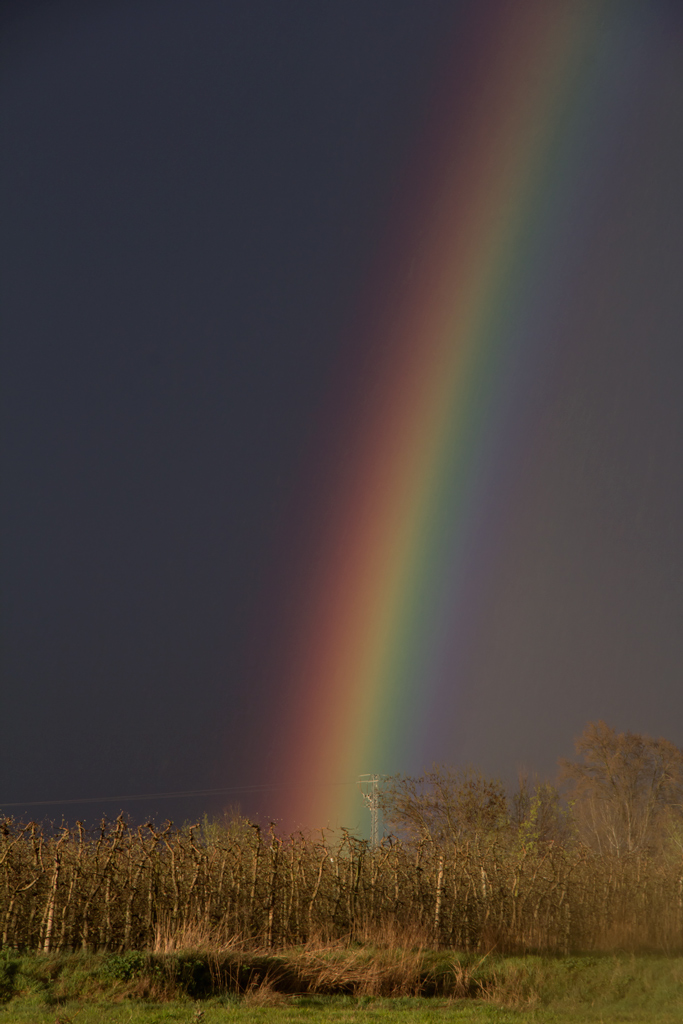 Arco Iris de colores muy intensos 
