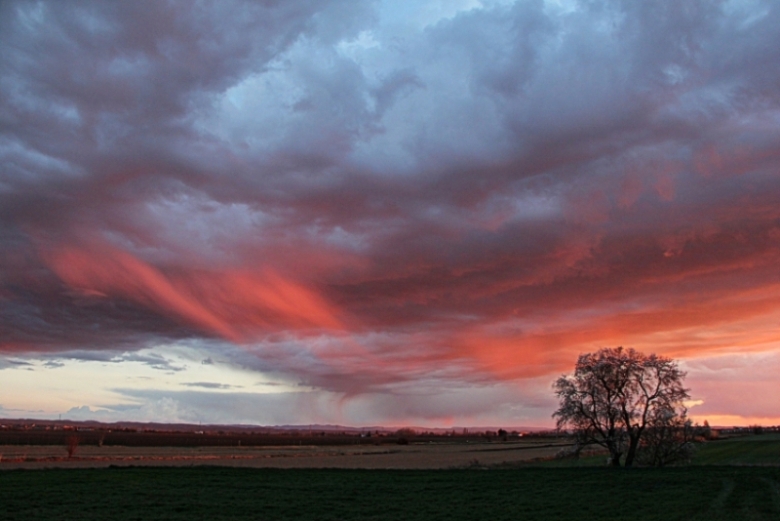 Después de la tormenta
Después de la tormenta a ultima hora de la tarde y con la puesta de sol, la luz crepuscular pintó las nubes de colores rojizos, dejando este bonito paisaje.
Álbumes del atlas: ZFP15 virga