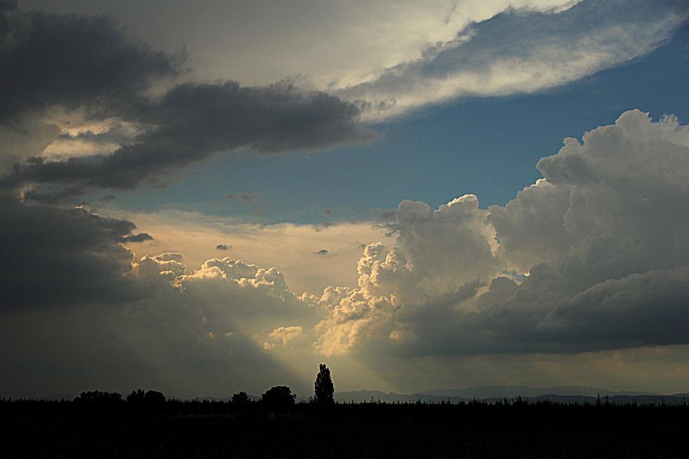 Entre las nubes
Al final de la tormenta, entre las nubes, han aparecido los rayos del sol.
Álbumes del atlas: ZFV15 cumulonimbus
