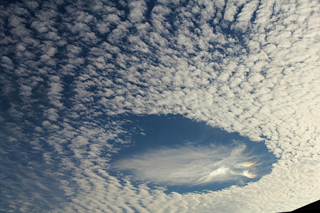 Skypunch (PRIMER PUESTO FOTO-OTOÑO'2015)
Este curioso agujero en las nubes me llamó la atención sin saber que era realmente, descubrí que era un raro fenomeno atmosférico llamado nube perforada o Skypunch.
Álbumes del atlas: ZFO15 cavum z_top10trim_mtrs z_top01