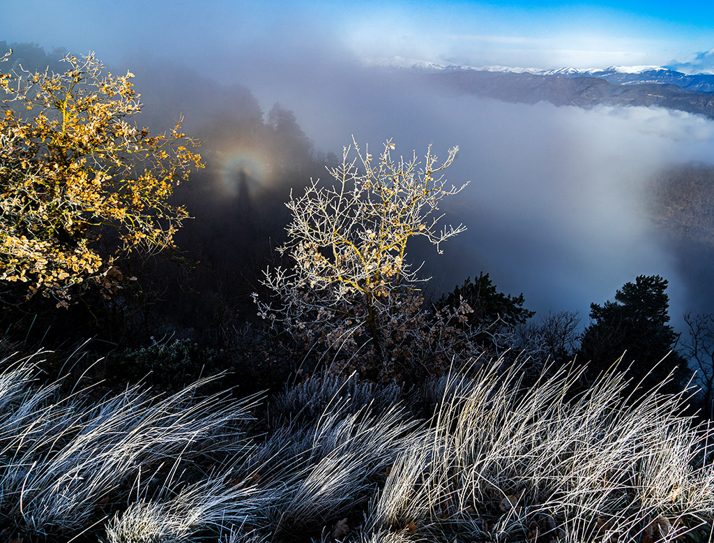 Cencellada y Espectro de Brocken
Entre una espectacular cencellada que dejaba la niebla engelante y el Pirineo nevado al fondo, apareció este escondido Espectro de Brocken encima de la niebla que se deslizaba hacia el valle, imagen capturada en la zona elevada del Santuari dels Munts.
