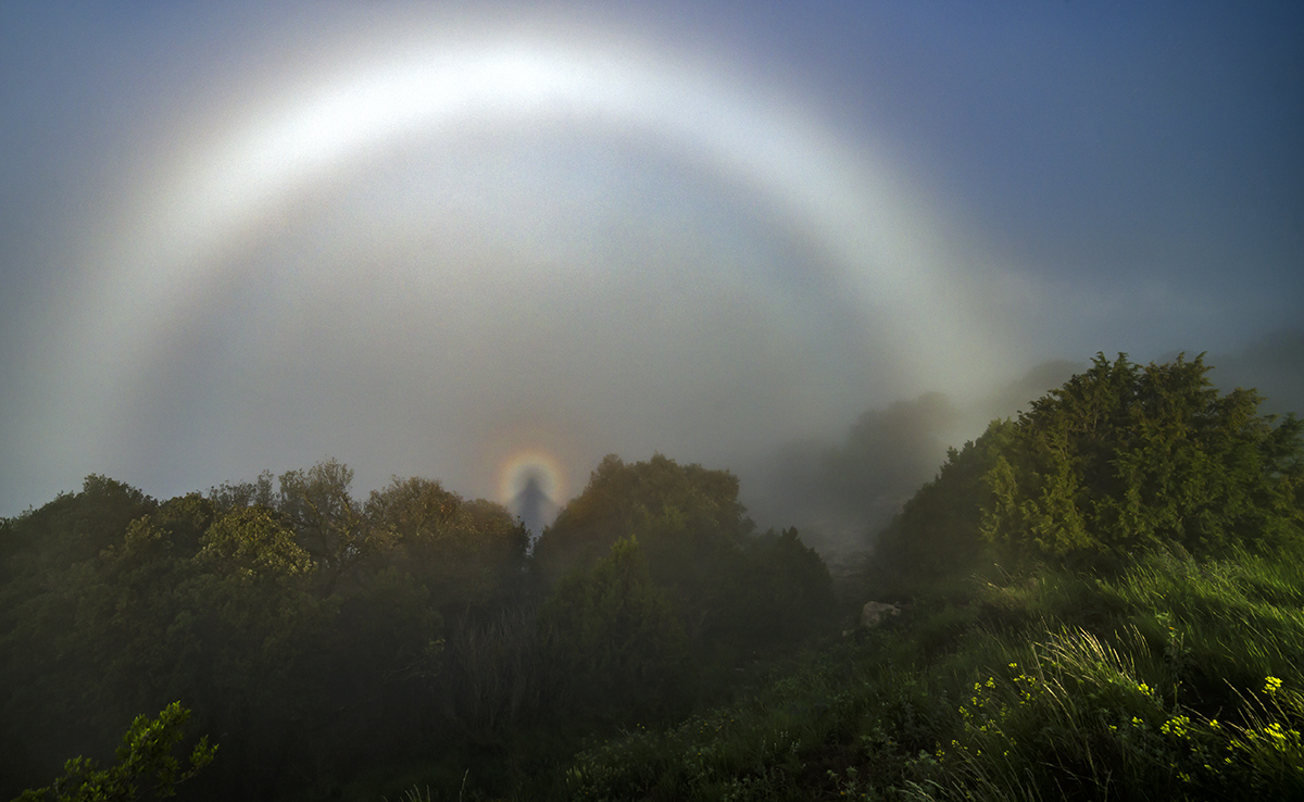 Un potente arco de niebla se observaba pero me faltaba el Espectro de Brocken, un efecto óptico habitual en mi comarca. Con la niebla moviéndose al poco rato con paciencia y un poco de suerte pude fotografiar este doble efecto óptico justo dónde empieza la niebla.      
