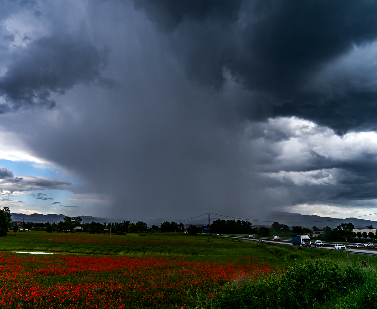 Una buena cortina de lluvia salía del agujero de la nube cumulonimbo, con los contrastes que nos regala la primavera; sol a ambos lados y las amapolas entre el campo de trigo.
