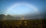 Arco de niebla con Espectro de Brocken (SEGUNDO PUESTO FOTO-OTOÑO'2015)