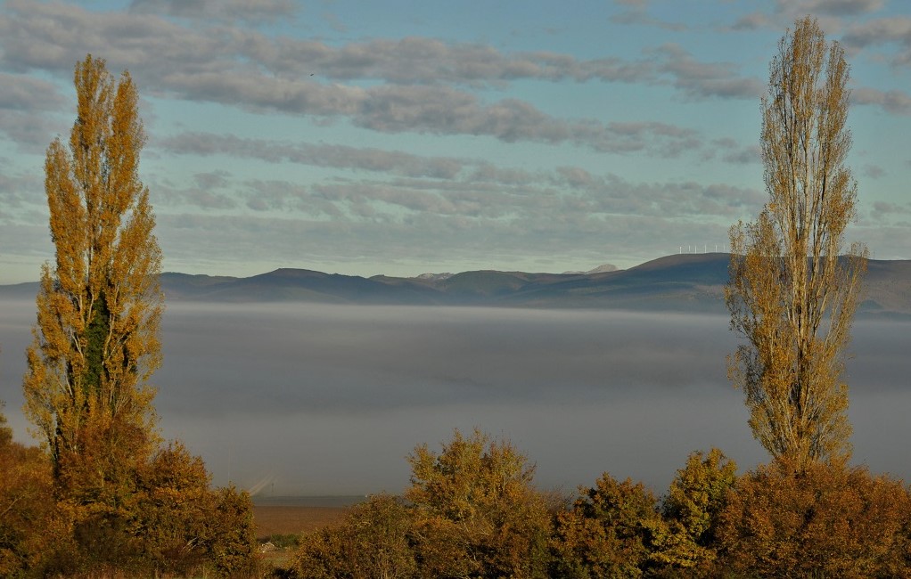 Cuando la niebla es paisaje
Álbumes del atlas: niebla_desde_dentro