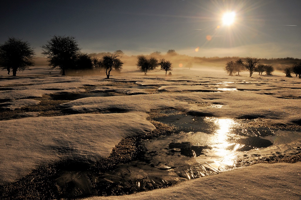 Nieve, hielo, frío, niebla, sol...
Bonita mañana de contrastes  en la Sierra de Entzia
Álbumes del atlas: ZFI18 paisaje_nevado neblina helada z_top10trim_mtrs