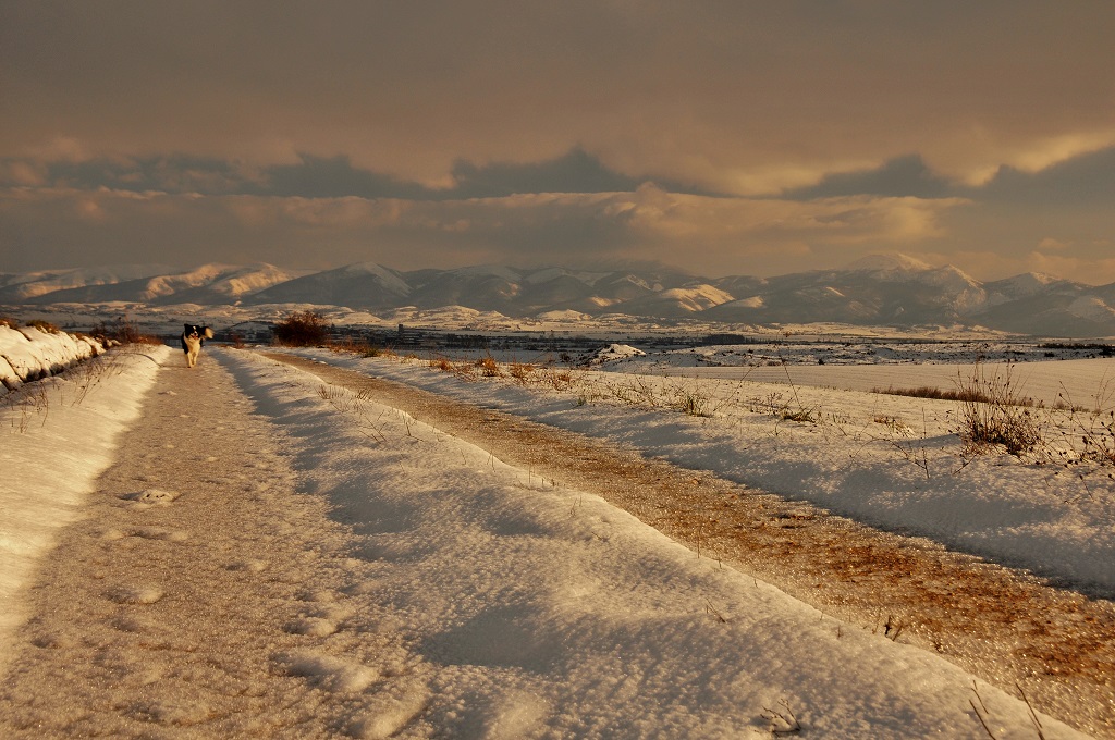 Fría mañana de marzo
Fría y preciosa mañana para dar un paseo matutino. Camino de parcelaria que va de Alaitza a Egileor con los montes de Altzania como fondo.
