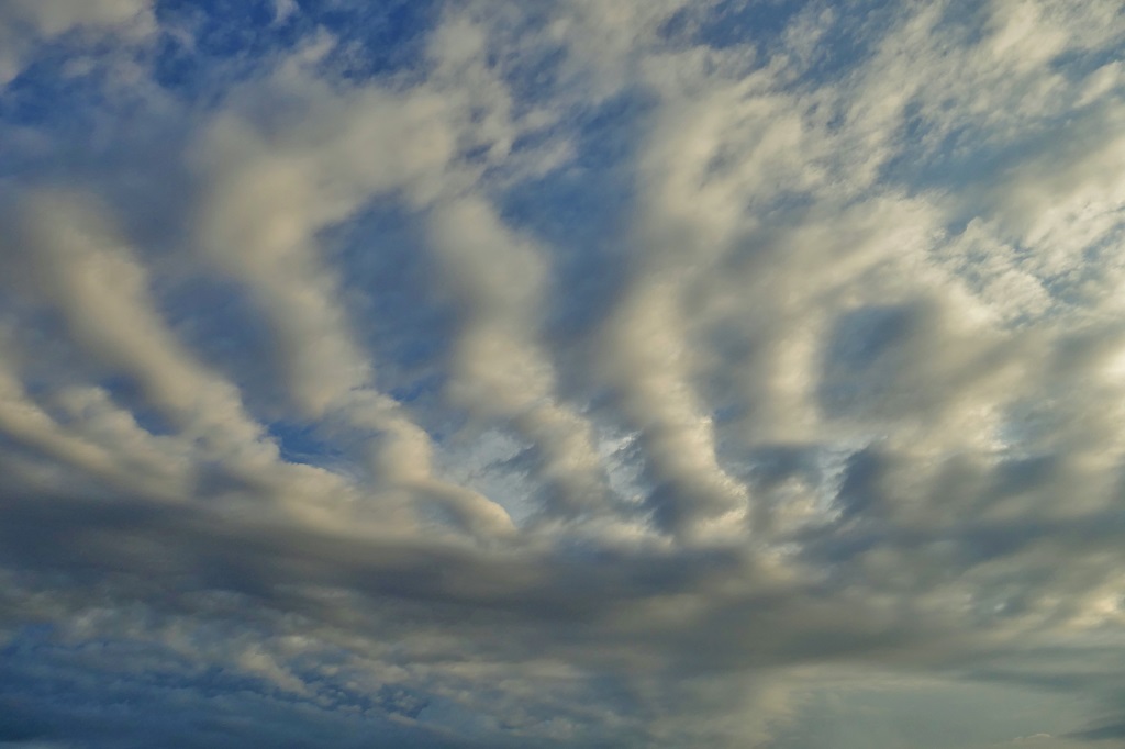 Stratocumulus stratiformis undulatus
"Curioso cielo"

Me llamó la atención esta nube con sus múltiples "tentáculos".
