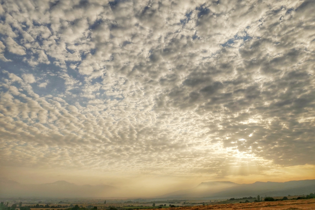 Otra bonita mañana de niebla. Esta vez "aprisionada" por altocúmulos entre los que intenta asomarse el sol.
