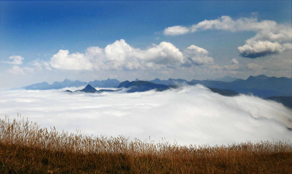 He subido varias veces a esta cima (Orhi) y casi siempre me he encontrado el mismo espectáculo. Todo el valle cubierto de nubes y parte de los Pirineos asomándose sobre ellas. Me encanta!
