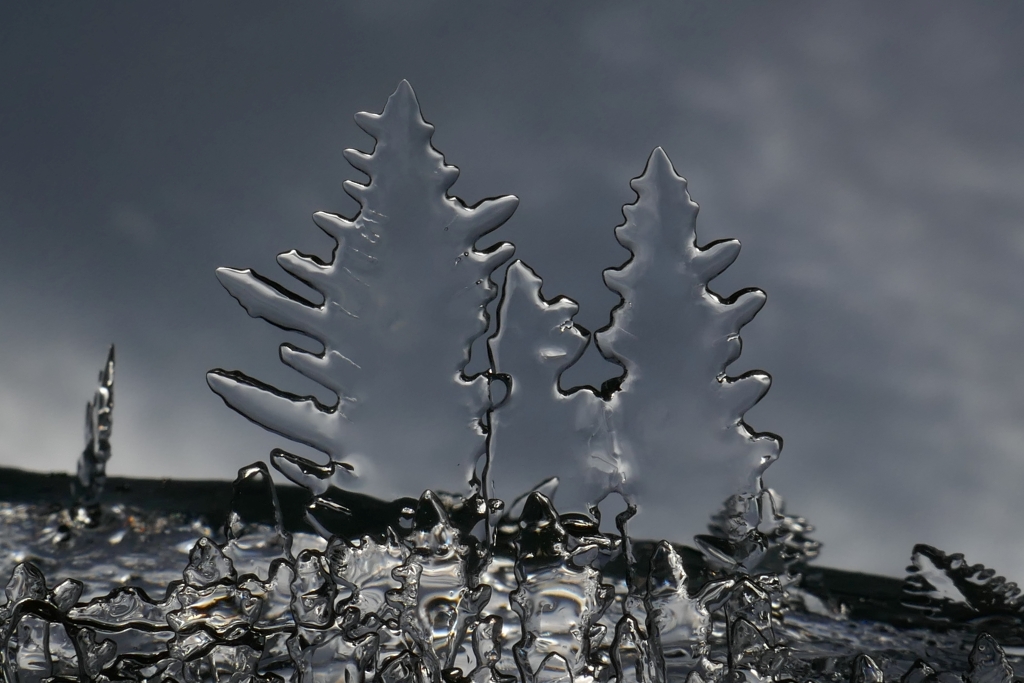 Cuando la naturaleza se vuelve caprichosa y nos deleita con estas bonitas formaciones de hielo.
