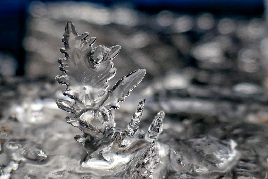 Cuando la naturaleza se vuelve caprichosa y nos deleita con estas bonitas formaciones de hielo.
