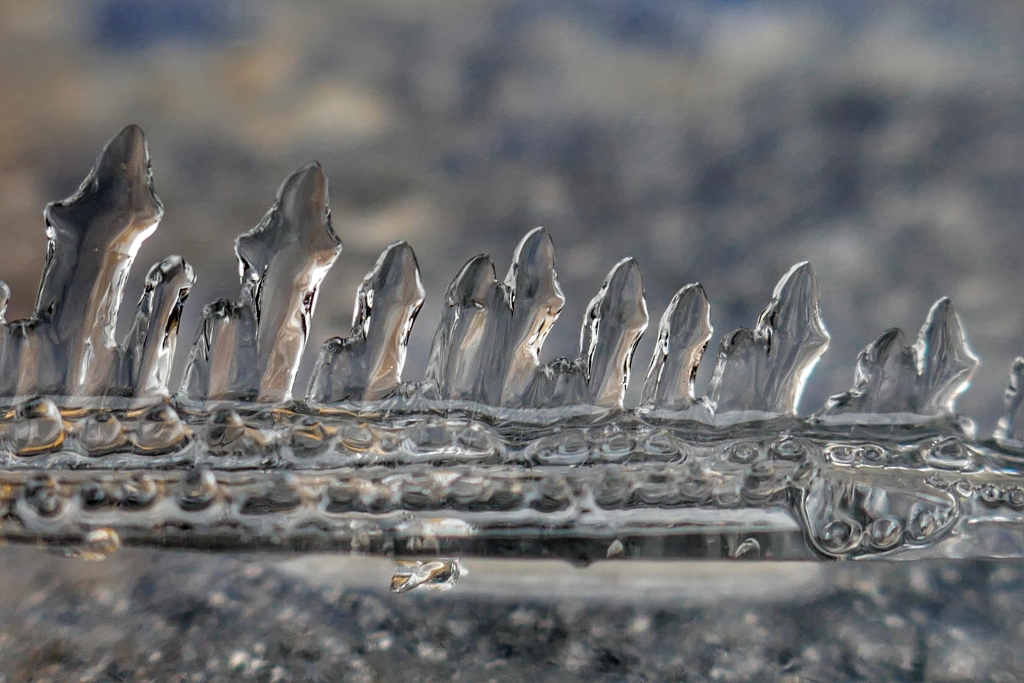 Cuando la naturaleza se vuelve caprichosa y nos deleita con estas bonitas formaciones de hielo.
