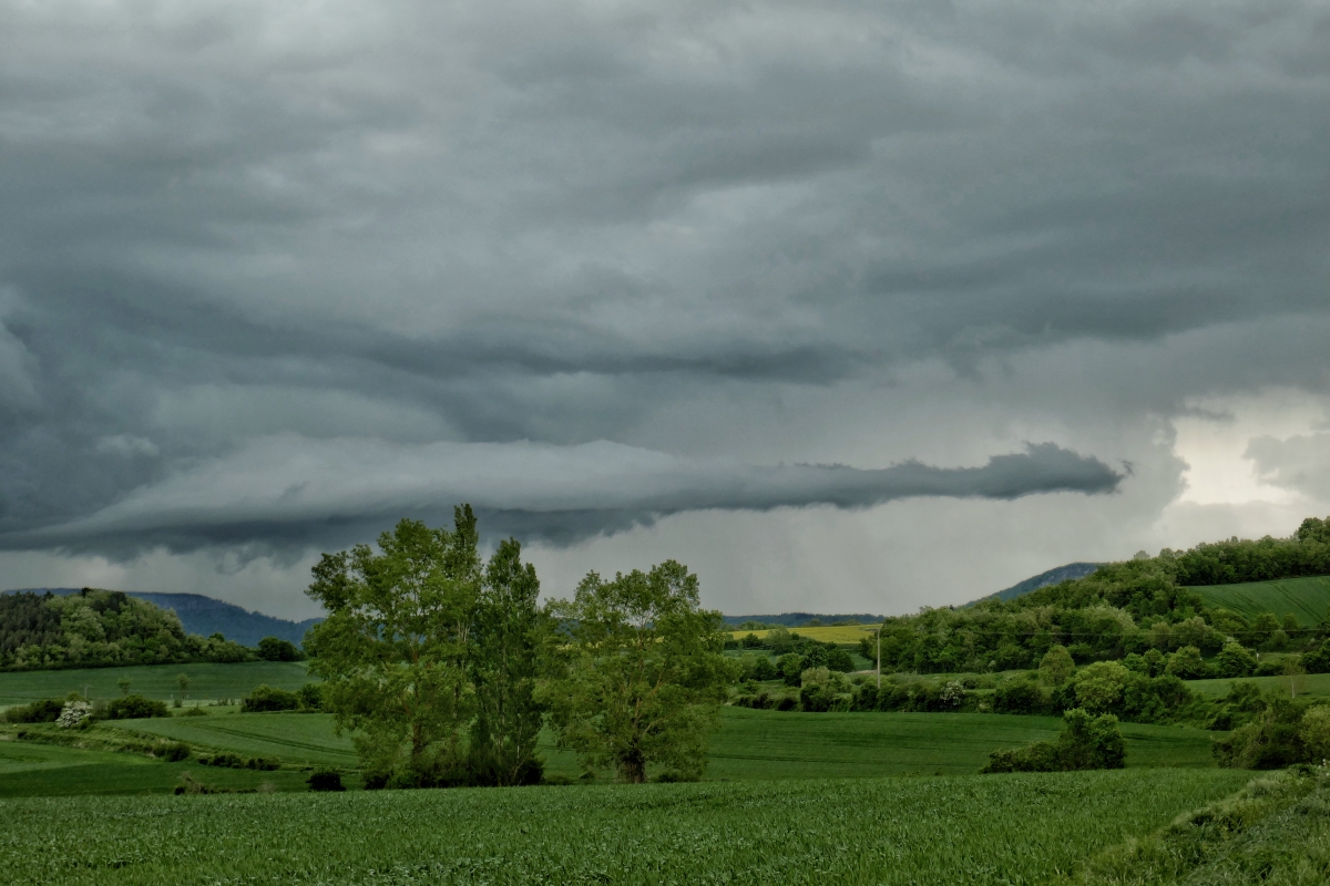 Viendo la tormenta desde lejos, me sorprendió gratamente esta nube que iba estirándose cada vez más, adquiriendo al final, la forma de una gran culebra.
