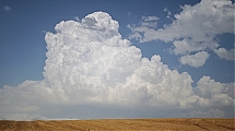 Gigante_de_algodon_sobre_el_campo_dorado.jpg