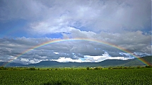 Paleta_de_colores.jpg