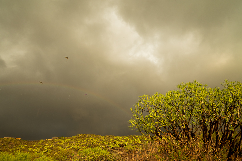 LOS PARAPENTES DEL ARCOIRIS
Varios parapentes hacen su vuelo bajo la lluvia y disfrutando d e la vision d e un arcoiris en Adeje, Tenerife
Álbumes del atlas: zzzznopre