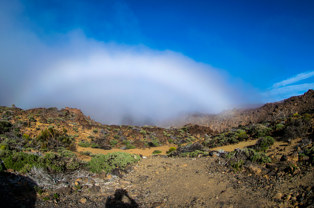 Fogbow en montana mostaza2
arco d e niebla en montaña mostaza, parque nacional del Teide
Álbumes del atlas: arco_de_niebla ZFP16