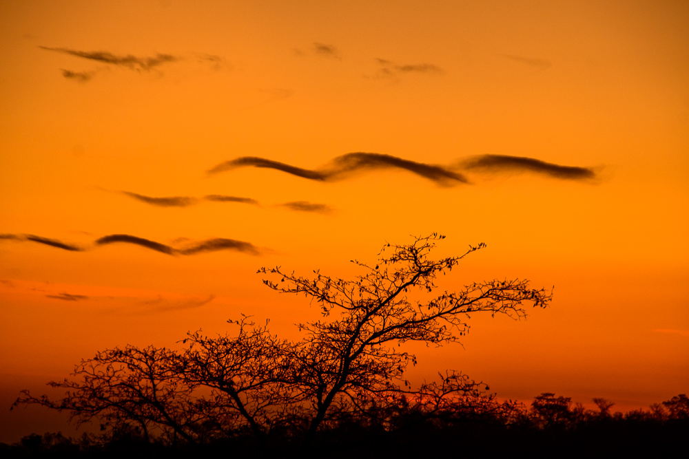 atardecer en Sudafrica con fluctus
desde  sunset rock en Sebatana private reserve, un  atardecer con nubes onduladas por el viento
