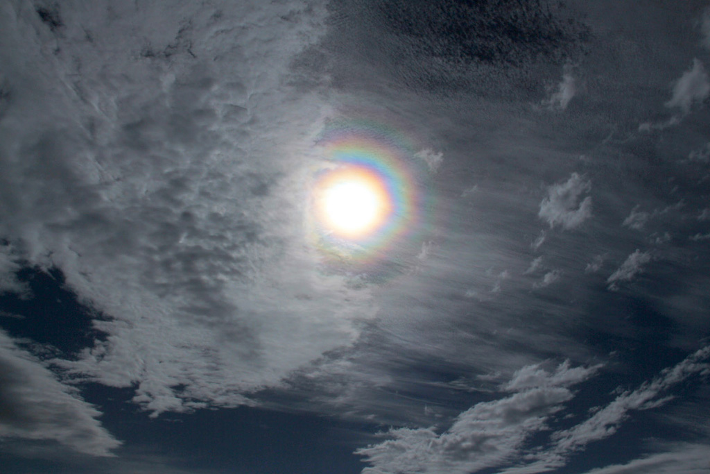 Iridiscencia alrededor del sol
Con los años que llevo haciendo fotografías de meteorología, esta es mi primera vez que consigo fotografiar una iridiscencia alrededor del sol con tanta nitidez y esplendor.
Álbumes del atlas: ZFO15 corona_solar z_top10trim_mtrs
