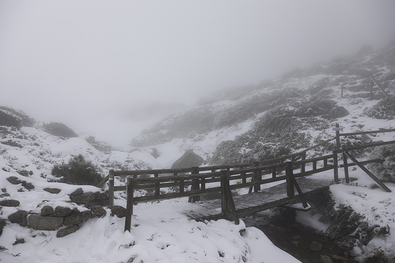 Neblina en Peñalara
Una de las primeras nevadas en la sierra norte de Madrid, que dejó escenas como esta, con un ambiente propio de película.
