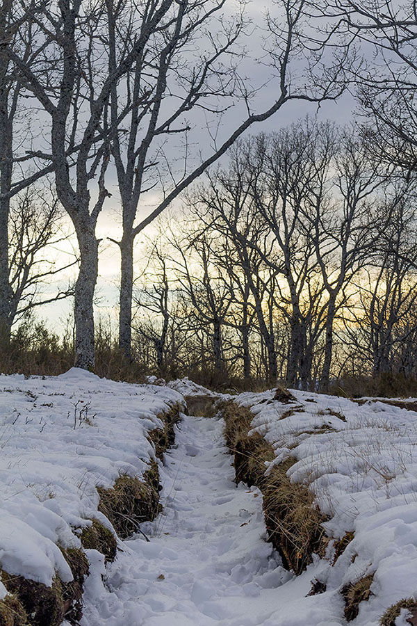 Siempre habrá camino
Primeras nevadas en Piornal, el pueblo más alto de Extremadura, situado en el único e incomparable, por su belleza, Valle del Jerte.
Álbumes del atlas: ZFI15 paisaje_nevado