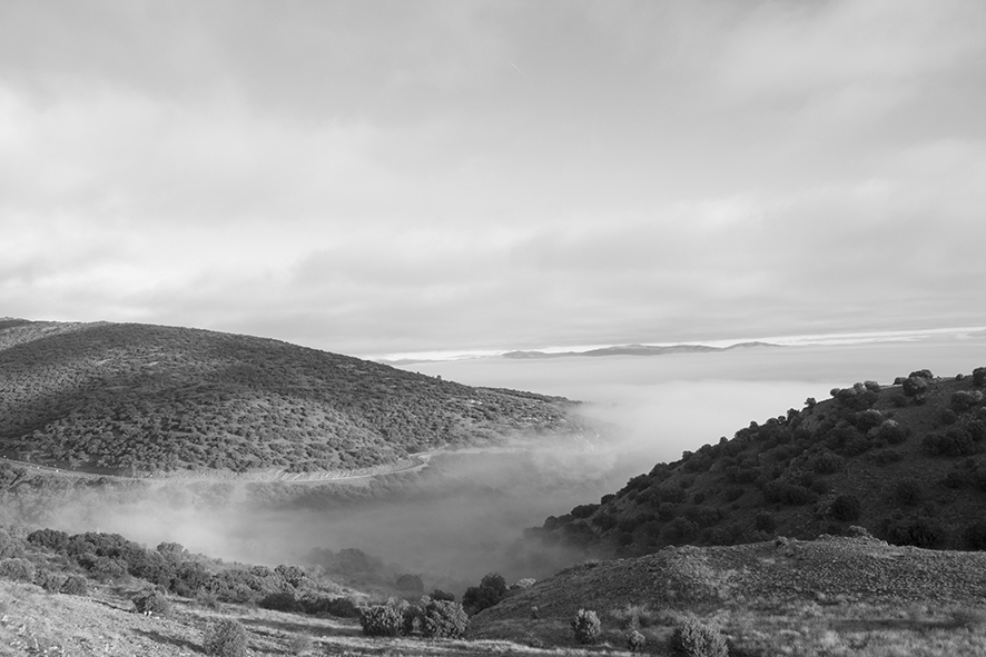 nieblas en blanco y negro
Niebla que penetra por un ramal del Valle del Jiloca siguiendo el tramado de la carretera que transcurre bajo ella.
Álbumes del atlas: ZFI15 niebla_desde_dentro