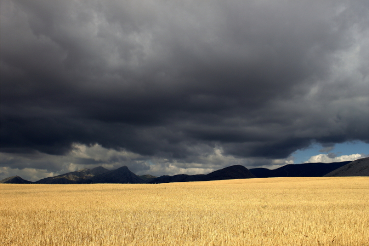 dorada tempestad
formación de una oscura tormenta en la montaña palentina que contrasta con el dorado de los campos de trigo
