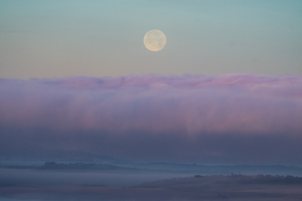 Luna llena
Mientra la luna llena se pone, una densa niebla, coloreada por las luces del amanecer, oculta la Sierra de Tramuntana.

