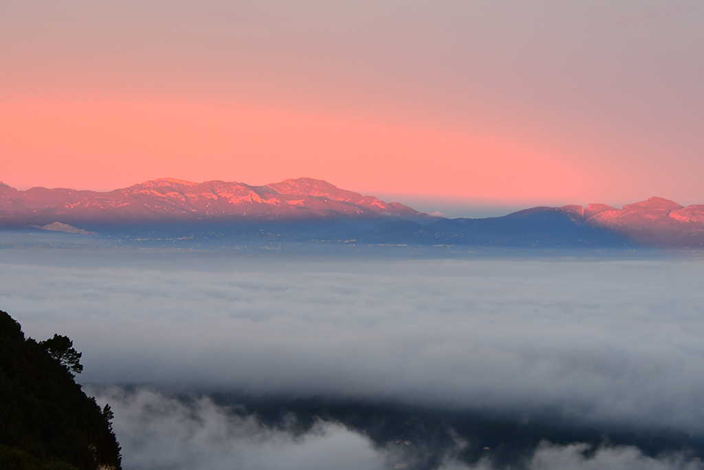Stratus nebulosus
"Sombra sobre niebla". La sombra del Puig de Sant Salvador se proyecta sobre la niebla y la sierra de Tramuntana durante el amanecer.
