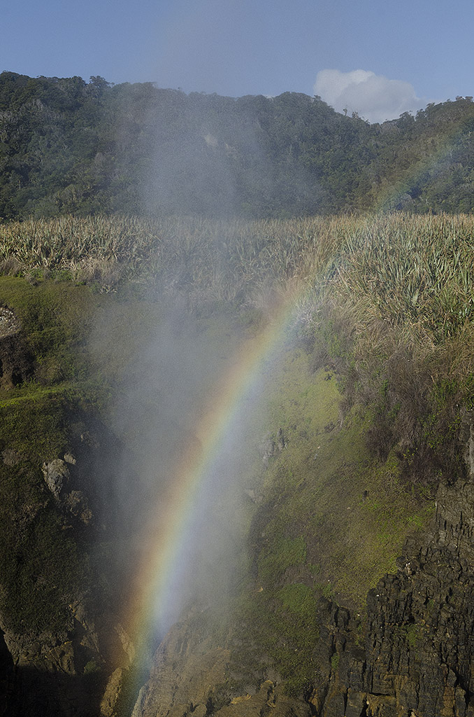 Arco Iris
En la costa de Punakaiki hay grutas con respiraderos. Cuando el viento es fuerte el oleaje entra en las grutas y sale el agua por los respiraderos. Si el día es soleado se forma un arco iris.
